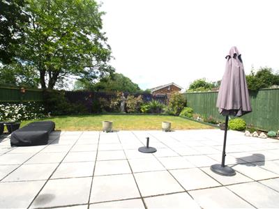 Picture 21